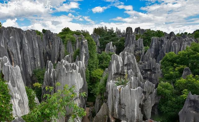Stone-Forest-Kunming